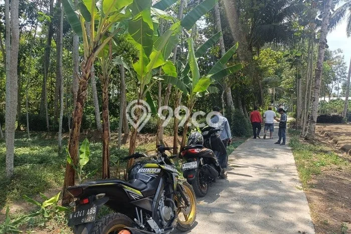 Lahan Dijual Lokasi Tajinan, Malang dengan Luas Tanah 1062m2 dan Status SHM Lahan Dijual Lokasi Tajinan, Malang dengan Luas Tanah 1062m2 dan Status SHM