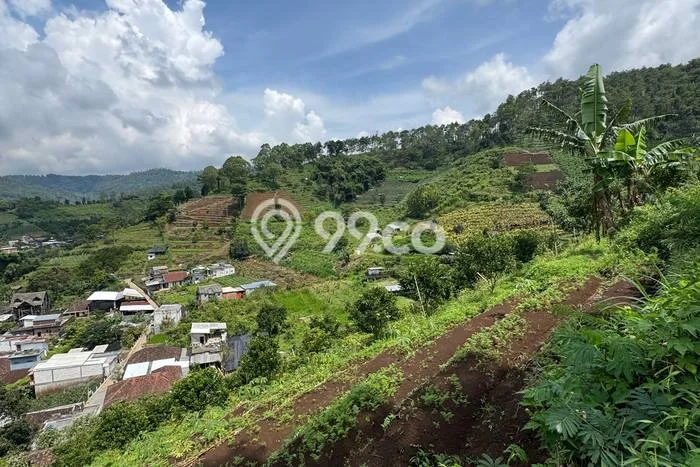 Tanah Strategis Dijual di Batu Batu 1350m2 Tanah Strategis Dijual di Batu Batu 1350m2