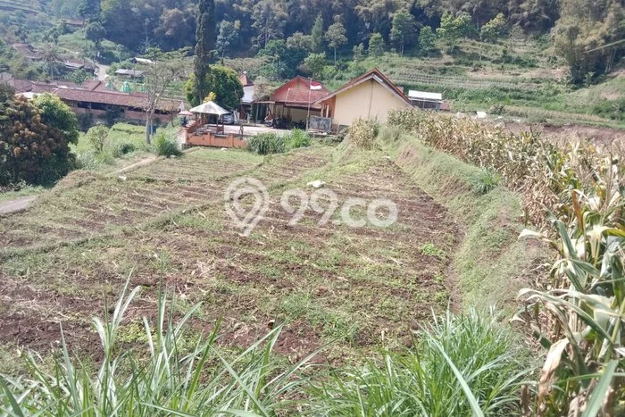 Kavling Tanah Dijual di Bumiaji Batu Spesifikasi 1004m2 Kavling Tanah Dijual di Bumiaji Batu Spesifikasi 1004m2