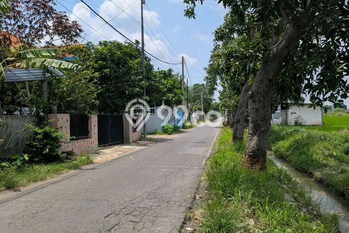 Tanah Dijual Lokasi Tarik, Sidoarjo Luas 2008m2 Legalitas Aman Tanah Dijual Lokasi Tarik, Sidoarjo Luas 2008m2 Legalitas Aman