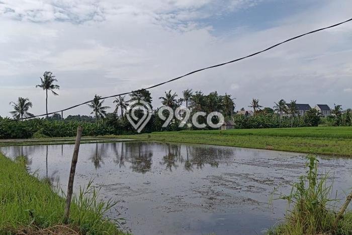 Untuk Dijual Tanah di Tabanan, Luas 1650m2 SHM Untuk Dijual Tanah di Tabanan, Luas 1650m2 SHM