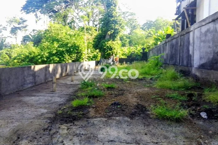 Tanah Disewakan Lokasi Umalas Badung Luas 160m2 Tanah Disewakan Lokasi Umalas Badung Luas 160m2