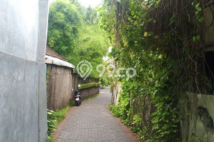 Kavling Tanah untuk Disewa di Seminyak Lahan Luas 700m2 Kavling Tanah untuk Disewa di Seminyak Lahan Luas 700m2