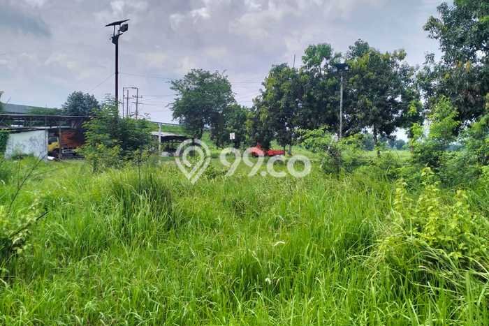 Tanah Kavling Dijual di Mojokerto dengan Spesifikasi 334m2 Tanah Kavling Dijual di Mojokerto dengan Spesifikasi 334m2