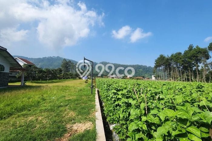 Jarang Ada! Tanah di Lembang Punya Luas 12770m2 SHM Jarang Ada! Tanah di Lembang Punya Luas 12770m2 SHM