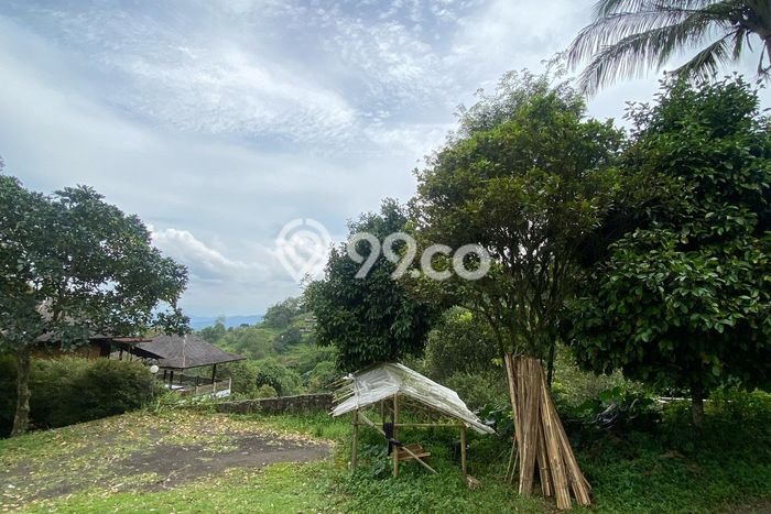 Tanah Kavling untuk Dijual di Lembang Bandung Barat 60000m2 Tanah Kavling untuk Dijual di Lembang Bandung Barat 60000m2