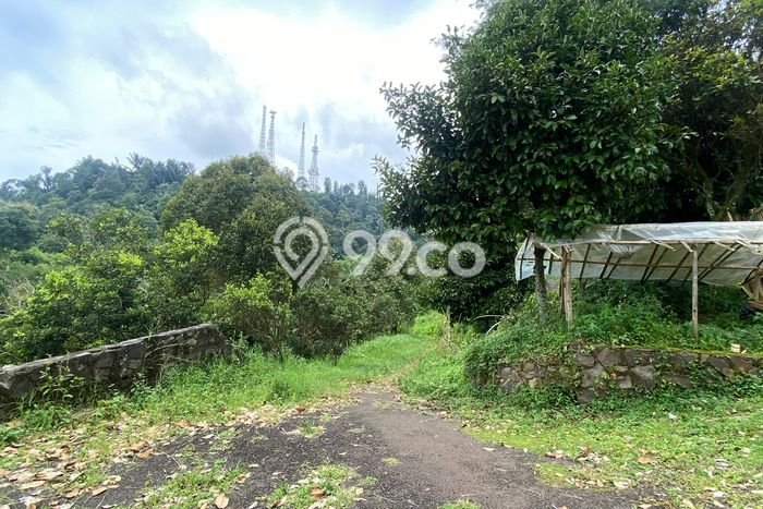 Tanah Kavling untuk Dijual di Lembang Bandung Barat 60000m2 Tanah Kavling untuk Dijual di Lembang Bandung Barat 60000m2