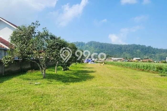 Jarang Ada! Tanah di Lembang Punya Luas 12770m2 SHM Jarang Ada! Tanah di Lembang Punya Luas 12770m2 SHM