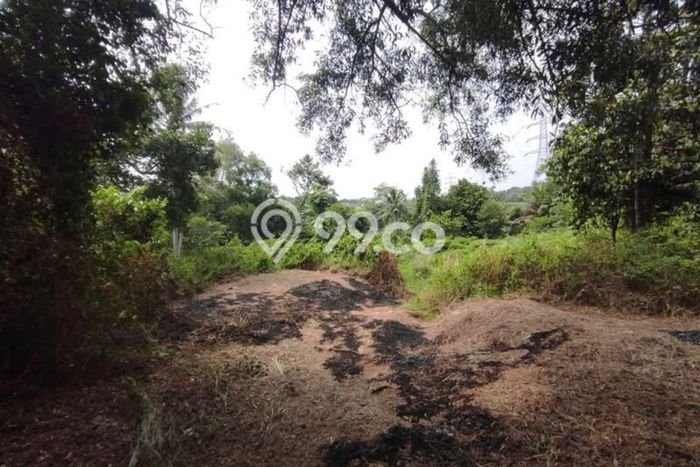 Tanah untuk Dijual Lokasi Sawangan, Depok Luas 3150m2 SHM Tanah untuk Dijual Lokasi Sawangan, Depok Luas 3150m2 SHM