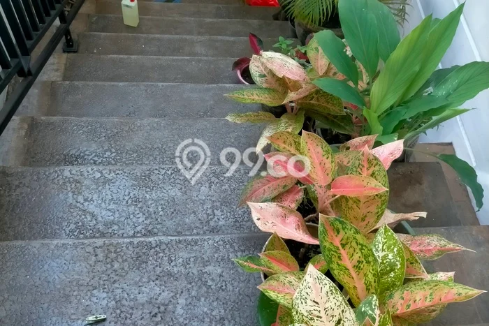 Dijual Rumah Elit Exclusive di Panakkukang, Makassar Dijual Rumah Elit Exclusive di Panakkukang, Makassar