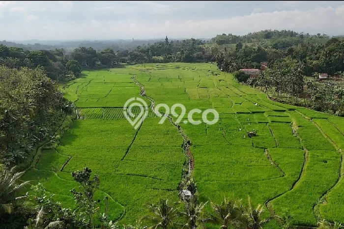 Tanah Strategis Dijual di Cianjur Cianjur 192000m2 Tanah Strategis Dijual di Cianjur Cianjur 192000m2