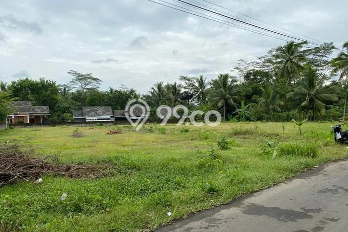 Dijual Tanah Murah Dekat Candi Borobudur, Magelang Dijual Tanah Murah Dekat Candi Borobudur, Magelang