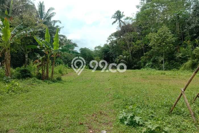 Jual Kavling Harga Dibawah Pasaran Di Mertoyudan Magelang Jual Kavling Harga Dibawah Pasaran Di Mertoyudan Magelang