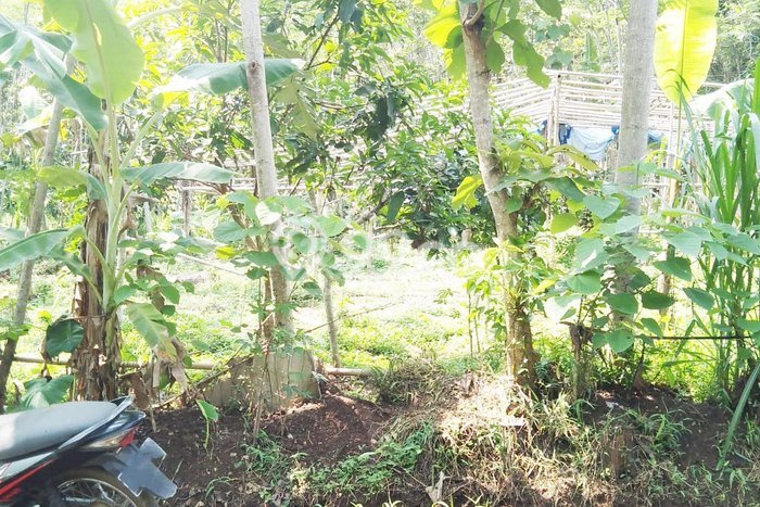 Tanah Komersial Disewakan di Ungaran Timur Semarang Seluas 1666m2 Tanah Komersial Disewakan di Ungaran Timur Semarang Seluas 1666m2