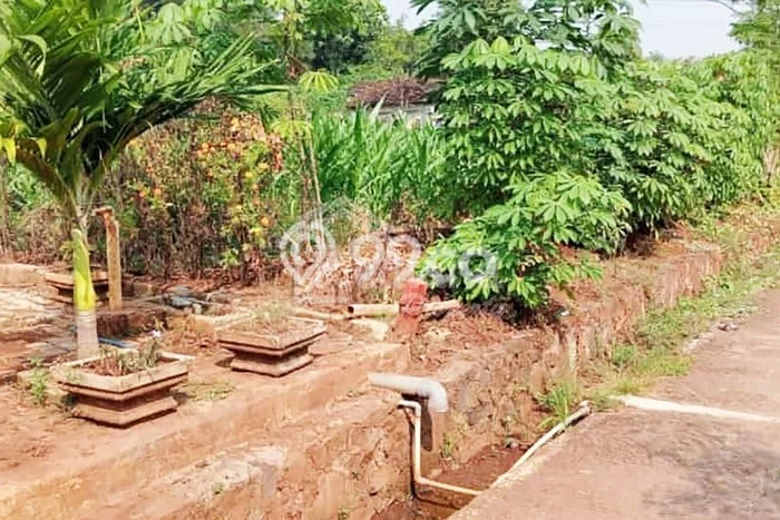 Dijual Tanah di Gringsing Batang Luas 7410m2 - Dijual Tanah di Gringsing Batang Luas 7410m2 -