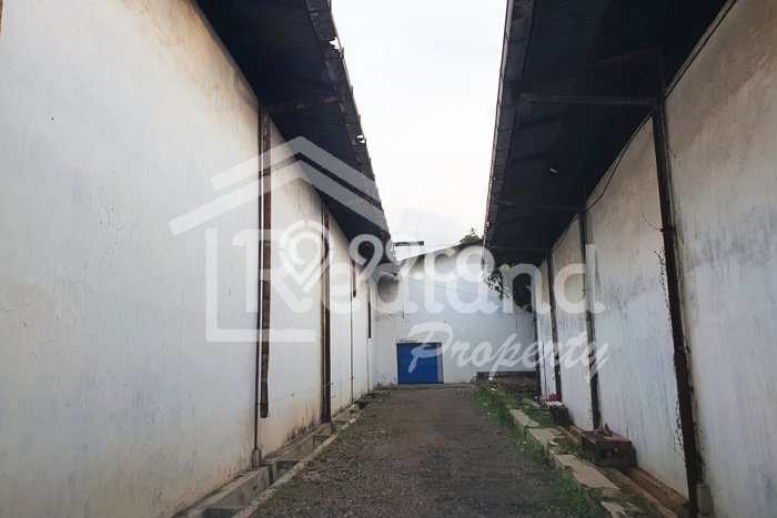 Disewakan Gudang di Kawasan Ramai Puspowarno Luas 1390m2 Disewakan Gudang di Kawasan Ramai Puspowarno Luas 1390m2