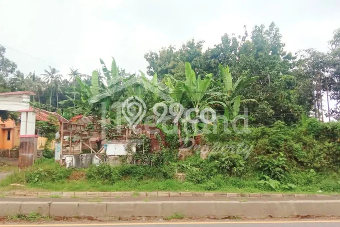 Lahan Kosong Dijual di Batang, Batang, Luas 4160m2 Area Strategis Lahan Kosong Dijual di Batang, Batang, Luas 4160m2 Area Strategis