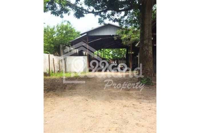 Unit Gudang Disewa Lokasi Tegowanu, Grobogan Spesifikasi Luas Bangunan 2000m2 Unit Gudang Disewa Lokasi Tegowanu, Grobogan Spesifikasi Luas Bangunan 2000m2