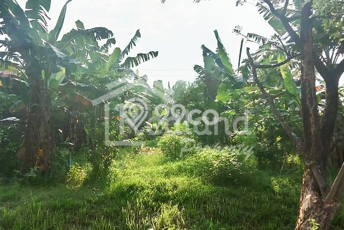 Tanah Komersial Dijual di Semarang Timur Semarang 1051m2 Tanah Komersial Dijual di Semarang Timur Semarang 1051m2