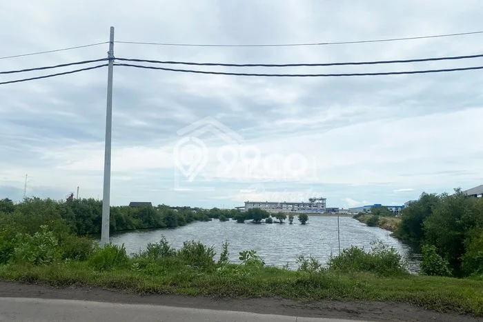 Tanah Dijual Lokasi Kaliwungu, Kendal dengan Luas Tanah 39000m2 dan Status SHM Tanah Dijual Lokasi Kaliwungu, Kendal dengan Luas Tanah 39000m2 dan Status SHM