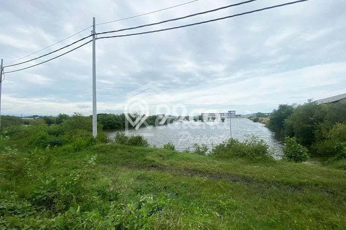 Tanah Dijual Lokasi Kaliwungu, Kendal dengan Luas Tanah 39000m2 dan Status SHM Tanah Dijual Lokasi Kaliwungu, Kendal dengan Luas Tanah 39000m2 dan Status SHM