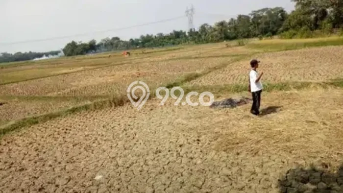 Tanah Komersial Dijual di Pamarayan Serang 100000m2 Tanah Komersial Dijual di Pamarayan Serang 100000m2
