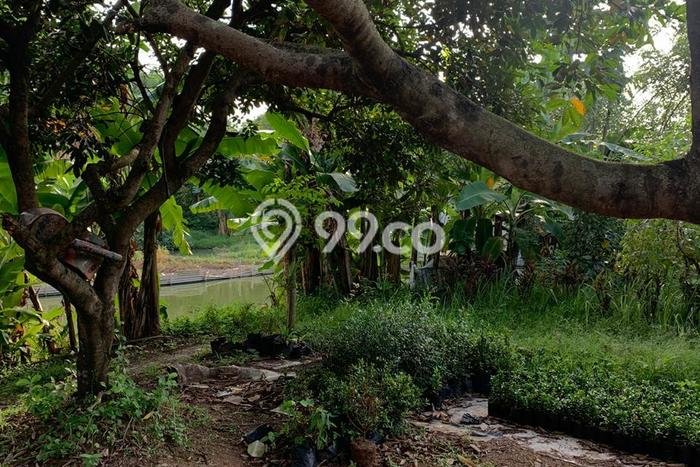 Dijual Tanah di Jakarta Barat, Luas 4550m2 SHM Dijual Tanah di Jakarta Barat, Luas 4550m2 SHM