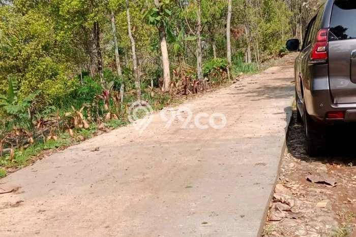 Tanah Dijual Lokasi Jombang Jember SHM Tanah Dijual Lokasi Jombang Jember SHM