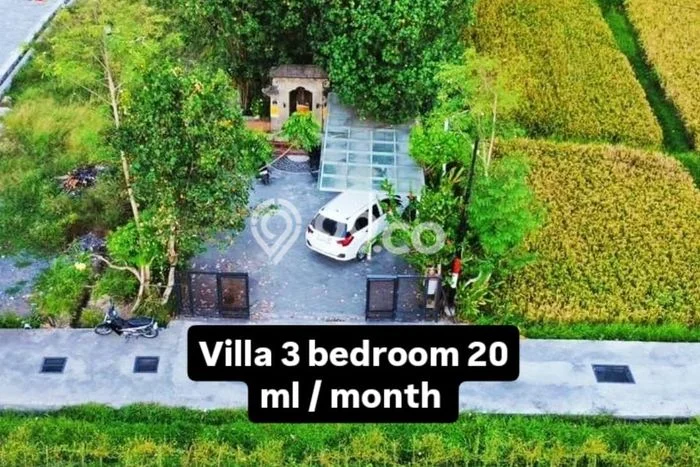 Rumah Bagus Siap Huni Di Ubud Luas 120m2 Aman Rumah Bagus Siap Huni Di Ubud Luas 120m2 Aman
