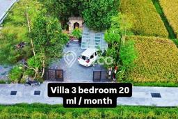 Rumah Bagus Siap Huni Di Ubud Luas 120m2 Aman Rumah Bagus Siap Huni Di Ubud Luas 120m2 Aman