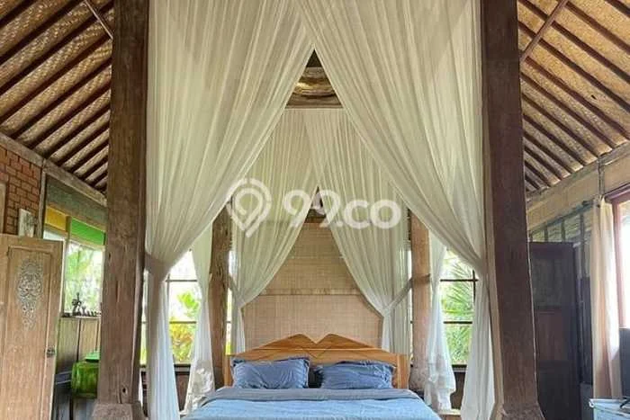 Disewakan segera rumah minimalis strategis 1 Kamar di Ubud, Gianyar Disewakan segera rumah minimalis strategis 1 Kamar di Ubud, Gianyar