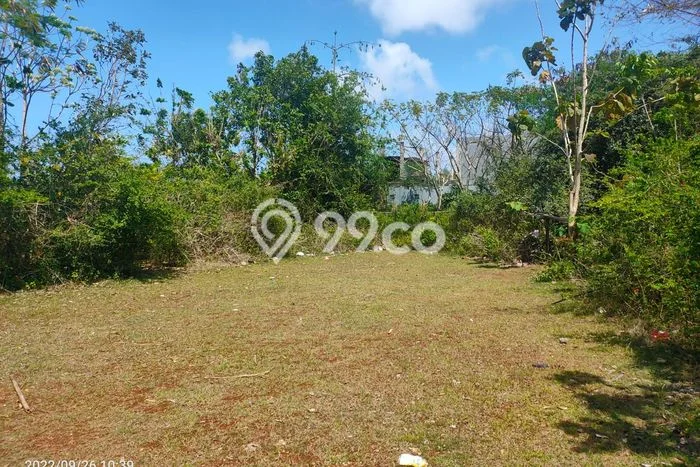 Tanah Kavling Dijual di Jimbaran, Badung dengan Luas Tanah 1250m2 Tanah Kavling Dijual di Jimbaran, Badung dengan Luas Tanah 1250m2