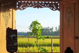 Jarang Ada! Rumah Kontrakan 1 Kamar Nyaman Siap Huni Sayan Jarang Ada! Rumah Kontrakan 1 Kamar Nyaman Siap Huni Sayan