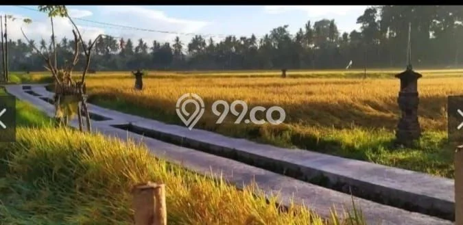Rumah Bagus Siap Huni Di Ubud Luas 160m2 Aman Rumah Bagus Siap Huni Di Ubud Luas 160m2 Aman