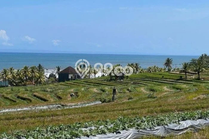 Tanah Dijual di Tabanan Seluas 1000m2 Strategis Tanah Dijual di Tabanan Seluas 1000m2 Strategis