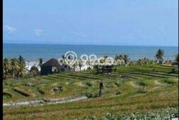 Tanah Kavling Dijual di Klecung, Tabanan dengan Luas Tanah 1260m2 Tanah Kavling Dijual di Klecung, Tabanan dengan Luas Tanah 1260m2