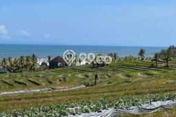 Tanah Kosong Dijual di Tabanan dengan Area 100000m2 Tanah Kosong Dijual di Tabanan dengan Area 100000m2