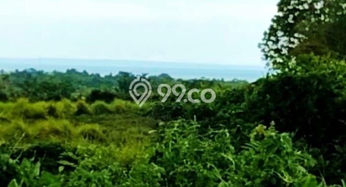 Dijual Tanah 1280m2 di Antosari, Tabanan Dijual Tanah 1280m2 di Antosari, Tabanan
