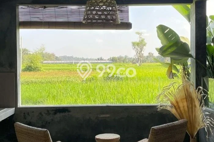 Disewakan Rumah Harga Terjangkau di Sayan Gianyar dengan 1 KT Disewakan Rumah Harga Terjangkau di Sayan Gianyar dengan 1 KT