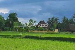 Lokasi terbaik! Rumah siap huni dikontrakkan di Gianyar LB 120m2 Lokasi terbaik! Rumah siap huni dikontrakkan di Gianyar LB 120m2