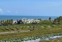 Dijual Tanah di Selemadeg Tabanan Luas 1500m2 SHM Dijual Tanah di Selemadeg Tabanan Luas 1500m2 SHM