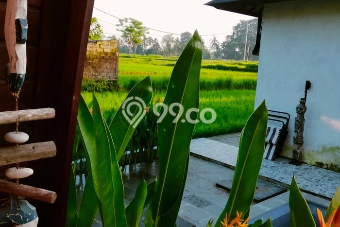 Rumah Bagus Siap Huni Di Ubud Luas 200m2 Lokasi Strategis Rumah Bagus Siap Huni Di Ubud Luas 200m2 Lokasi Strategis