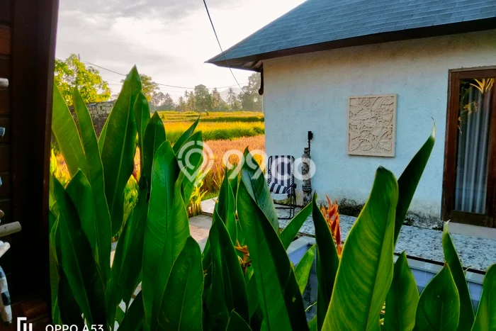 Rumah sewa siap huni 2 KT di Sayan, Gianyar Rumah sewa siap huni 2 KT di Sayan, Gianyar