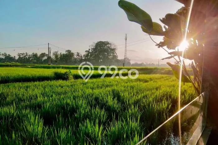 Disewakan Vila di Ubud, Luas 0m2m², Dekat ke Ubud, Gianyar, Gianyar, Harga Terjangkau Disewakan Vila di Ubud, Luas 0m2m², Dekat ke Ubud, Gianyar, Gianyar, Harga Terjangkau