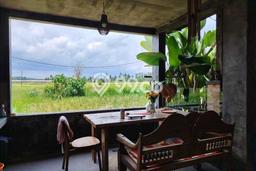 Disewakan Hunian Konsep Minimalis di Ubud Gianyar dengan 1 KT Disewakan Hunian Konsep Minimalis di Ubud Gianyar dengan 1 KT