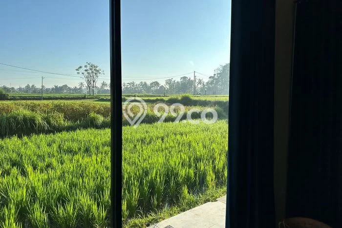 Disewakan! Rumah 2 Kamar Tidur &
2 Kamar Mandi di Sayan, Gianyar Disewakan! Rumah 2 Kamar Tidur &
2 Kamar Mandi di Sayan, Gianyar