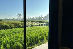 Disewakan! Rumah 2 Kamar Tidur &
2 Kamar Mandi di Sayan, Gianyar Disewakan! Rumah 2 Kamar Tidur &
2 Kamar Mandi di Sayan, Gianyar