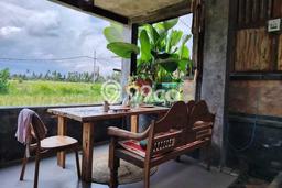 Disewakan Hunian Konsep Minimalis di Ubud Gianyar dengan 2 Kamar Disewakan Hunian Konsep Minimalis di Ubud Gianyar dengan 2 Kamar