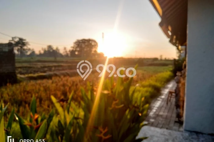 Disewakan Hunian Konsep Modern di Ubud Gianyar dengan 1 KT Disewakan Hunian Konsep Modern di Ubud Gianyar dengan 1 KT