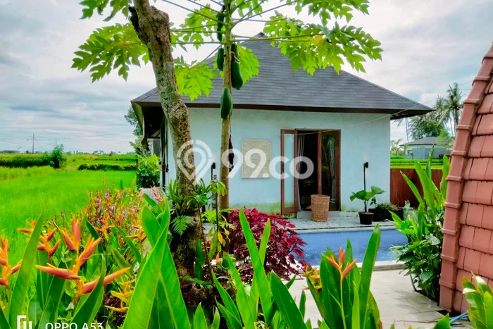 Rumah sewa siap huni 2 KT di Sayan, Gianyar Rumah sewa siap huni 2 KT di Sayan, Gianyar